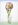 handkaese blume
